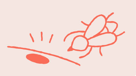 Da kích ứng, mẩn đỏ, vết côn trùng cắn