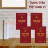 Dược điển Việt Nam VI